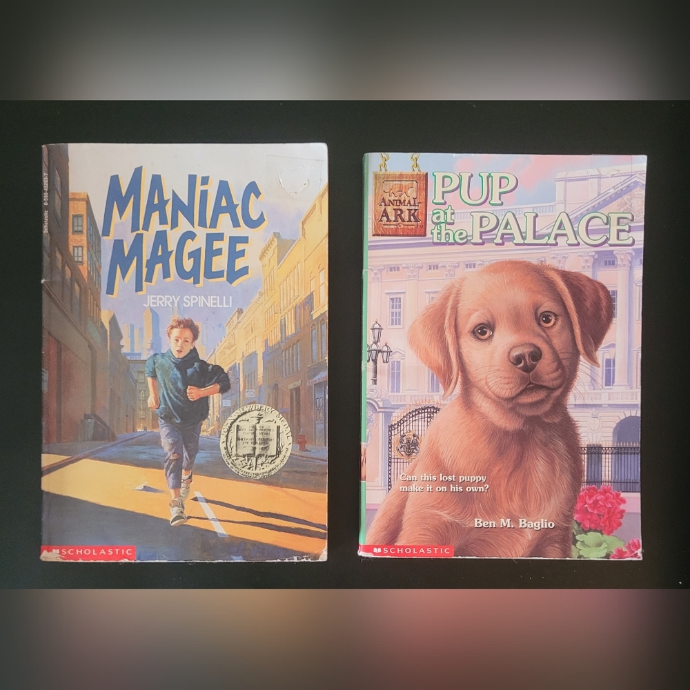 Children's Chapter Book Collection - Picture 2 of 9